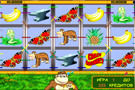 Crazy Monkey